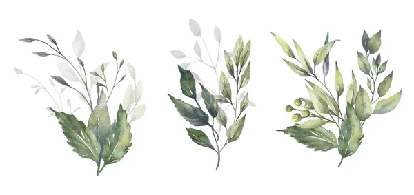 Watercolor floral illustration set - green leaf branches collection, for wedding stationary, greetings, wallpapers, fashion, background. 유칼립투스, 올리브, 초록 잎등등. — 스톡 사진