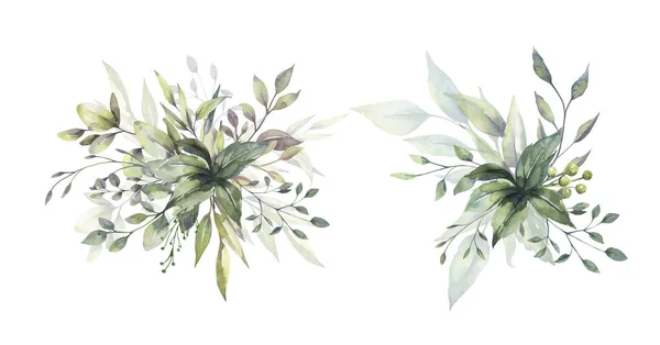 Watercolor floral illustration set - green leaf branches bouquets collection, for wedding stationary, greetings, wallpapers, fashion, background. 유칼립투스, 올리브, 초록 잎등등. — 스톡 사진