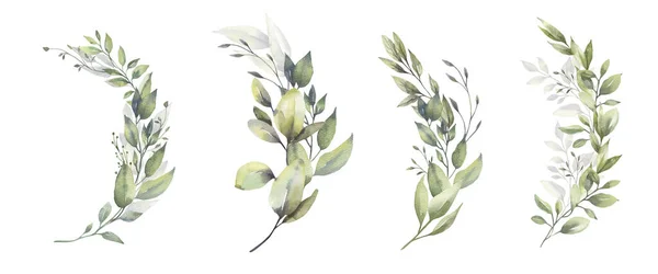Akvarel květinové ilustrace set - zelené listy větve kytice kolekce, pro svatební stacionární, pozdravy, tapety, móda, pozadí. Eukalyptus, olivy, zelené listy atd.. — Stock fotografie
