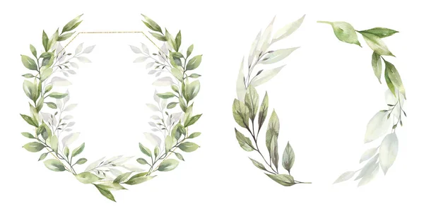 水彩花イラストセット-緑の葉フレームコレクション、結婚式の固定、挨拶、壁紙、ファッション、背景のための。ユーカリ、オリーブ、緑の葉など. — ストック写真