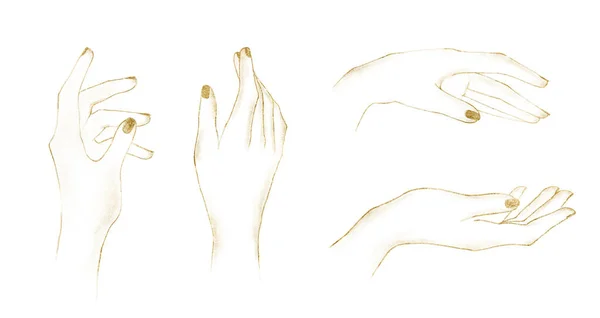 Composizione dipinta a mano linea oro schizzo-mani. — Foto Stock
