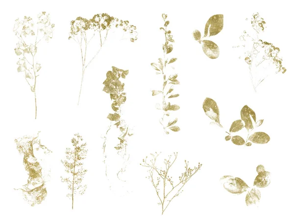 Akvarell Texturerade blommor och blad samling. — Stockfoto