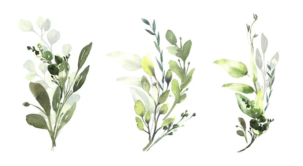 Watercolor floral illustration set - green eucalyptus leaf branches collection, for wedding invitation, greetings cards, wallpapers, background. 유칼립투스, 녹색 잎. — 스톡 사진