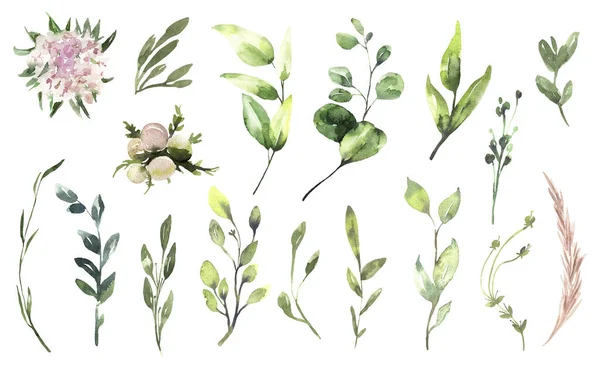 Set di illustrazioni floreali ad acquerello - collezione di rami di foglie di eucalipto verde, fiori rosa per invito di nozze, biglietti di auguri, sfondi, sfondo. Eucalipto, foglie verdi. — Foto Stock