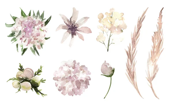Aquarel bloemen illustratie set - roze bloemen collectie voor bruiloft uitnodiging, wenskaarten, wallpapers, achtergrond. Eucalyptus, groene bladeren. — Stockfoto