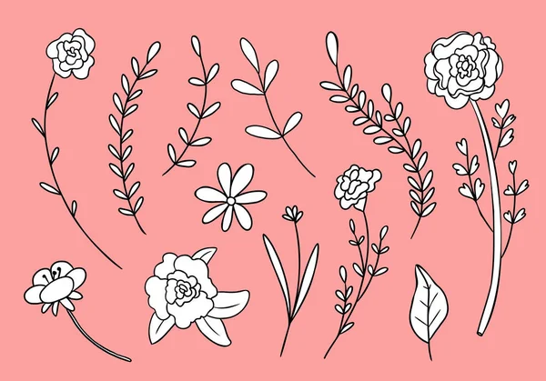 Dibujado a mano vector contorno flores colección. — Archivo Imágenes Vectoriales