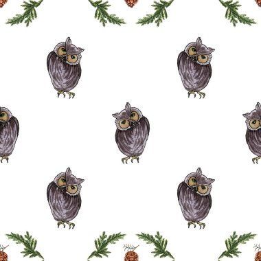 Beyaz arkaplanda koni bulunan ladin dalında bir baykuşun suluboya deseni