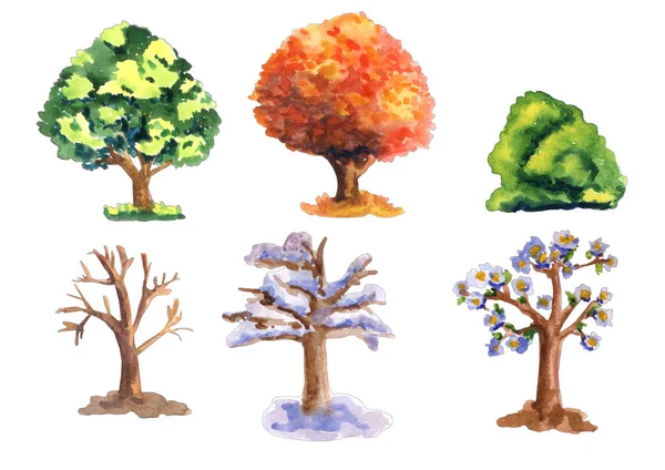 Watercolor Set Tree Life Different Seasons Year Summer Autumn Spring — Stock Photo, Image