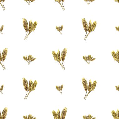 Sarı buğday kulaklarının suluboya desenleri