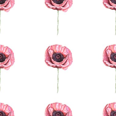 suluboya desenli gelincik beyaz arkaplan