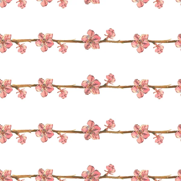 Desenho Linear Galhos Com Flores Rosa — Fotografia de Stock