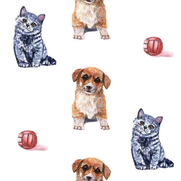 Aquarel Tekening Patroon Huisdieren Puppy Kitten Met Bal Witte Achtergrond — Stockfoto