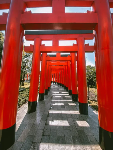 Chai Prakan Bölgesi, Chiang Mai, Tayland 'daki Hinoki bölgesi japan cazibesi — Stok fotoğraf