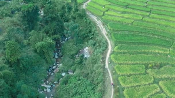チェンライ,チェンマイ県,タイのナンレナイライステラスの空中ビュー — ストック動画