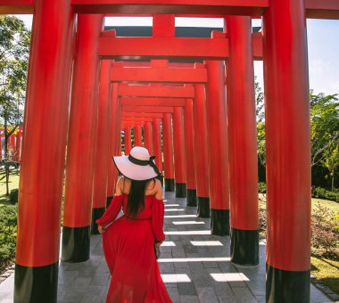 Chai Prakan Bölgesi, Chiang Mai, Tayland 'daki Hinoki bölgesi japan cazibesi