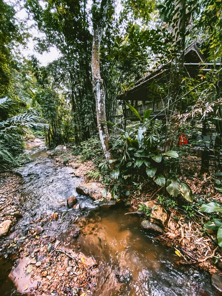 Mae Kampong bergsby i Chiang Mai provinsen, Thailand — Stockfoto