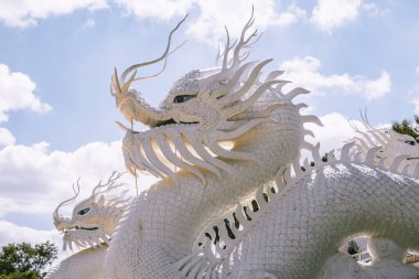 Wat Huay Pla Kang, Chiang Rai 'deki beyaz Buda ve ejderhalar, Tayland' daki Chiang Mai vilayeti,