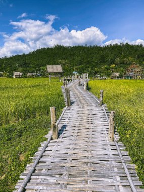 Pai 'deki Bambu Köprüsü, Mae Hong Son, Chiang Mai, Tayland