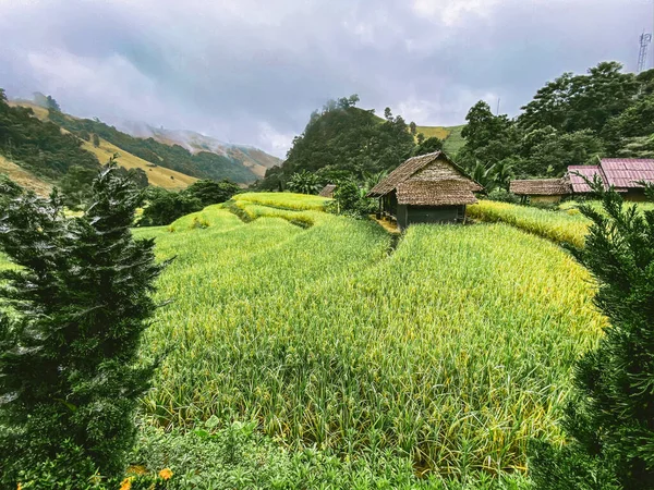 Terrazas de arroz en el parque nacional Doi inthanon en la provincia de Chiang Mai, Tailandia — Foto de Stock