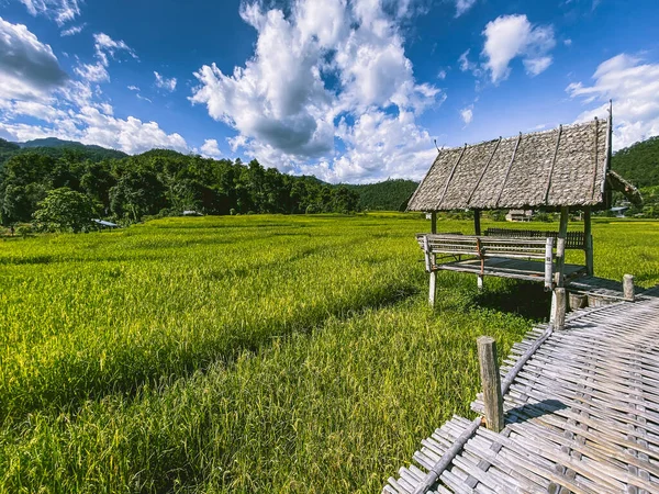 バンブーブリッジin Pai, Mae Hong Son, Chiang Mai,タイ — ストック写真