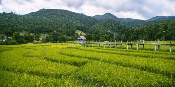 バンブーブリッジin Pai, Mae Hong Son, Chiang Mai,タイ — ストック写真