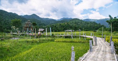 Pai 'deki Bambu Köprüsü, Mae Hong Son, Chiang Mai, Tayland