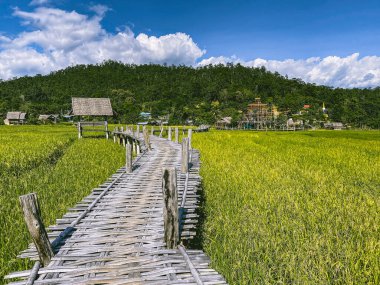 Pai 'deki Bambu Köprüsü, Mae Hong Son, Chiang Mai, Tayland
