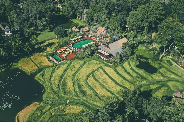 Mae Rim pirinç terasları ve Tayland 'ın Chiang Mai bölgesinde tatil köyü. — Stok fotoğraf