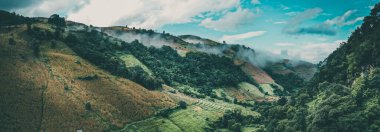 Tayland 'ın Chiang Mai eyaletindeki Doi Inthanon Milli Parkı' nda Rice Terasları