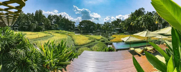 Mae Rim pirinç terasları ve Tayland 'ın Chiang Mai bölgesinde tatil köyü. — Stok fotoğraf