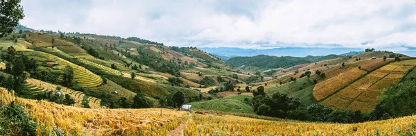 Krajina rýžových teras na hoře na Ban Pa Pong Piang, Doi inThanon, Chiang Mai, Thajsko — Stock fotografie