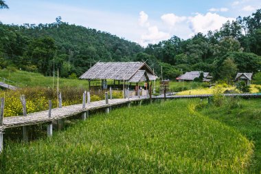 Pai 'deki Bambu Köprüsü, Mae Hong Son, Chiang Mai, Tayland