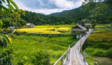 Pai 'deki Bambu Köprüsü, Mae Hong Son, Chiang Mai, Tayland