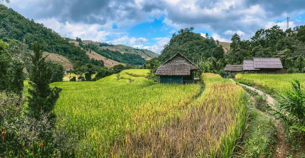 タイ、チェンマイ県の土居インタノン国立公園内の棚田 — ストック写真