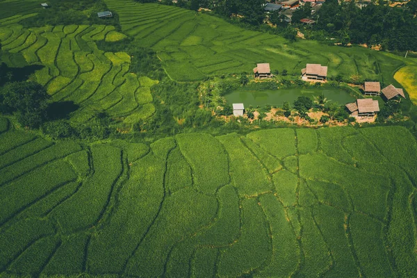 泰国，清迈，Mae Hong Son，Pai竹桥 — 图库照片