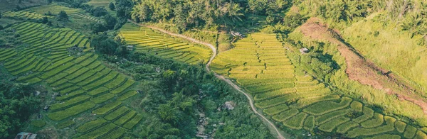 泰国清迈清莱Nang Lae Nai稻田的空中景观 — 图库照片