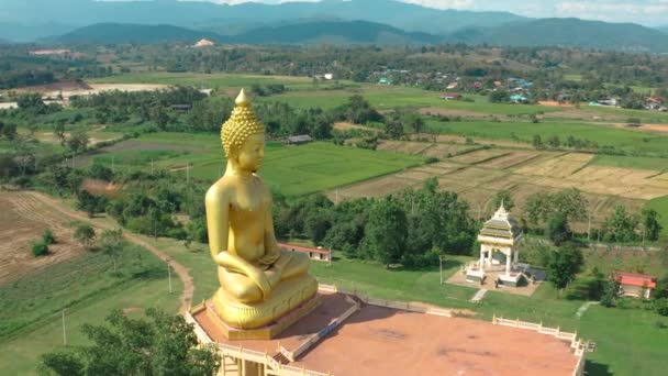 Chiang Rai 'deki Büyük Altın Buda heykeli, Chiang Mai vilayeti, Tayland — Stok video