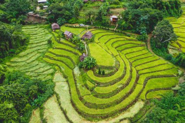 Tayland 'ın Chiang Mai eyaletindeki Doi Inthanon Milli Parkı' nda Rice Terasları