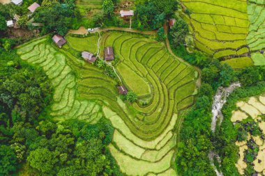 Tayland 'ın Chiang Mai eyaletindeki Doi Inthanon Milli Parkı' nda Rice Terasları