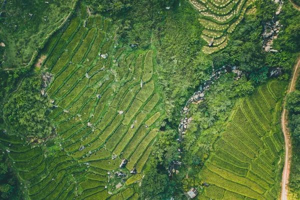 泰国清迈清莱Nang Lae Nai稻田的空中景观 — 图库照片