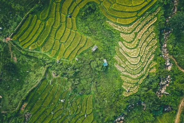 泰国清迈清莱Nang Lae Nai稻田的空中景观 — 图库照片