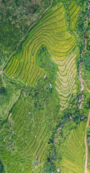 Pemandangan udara Nang Lae Nai Rice Teras di Chiang Rai, Provinsi Chiang Mai, Thailand — Stok Foto
