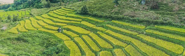 Luchtfoto van Nang Lae Nai Rice Terraces in Chiang Rai, provincie Chiang Mai, Thailand — Stockfoto