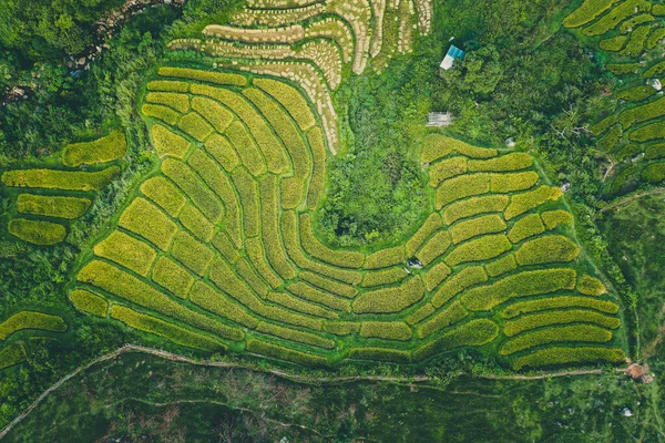 Vista aerea delle terrazze di riso Nang Lae Nai a Chiang Rai, provincia di Chiang Mai, Thailandia — Foto Stock