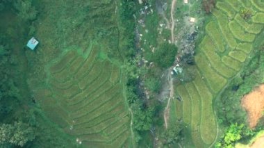 Chiang Rai, Chiang Mai, Tayland 'daki Nang Lae Nai Rice Terasları' nın hava görüntüsü.