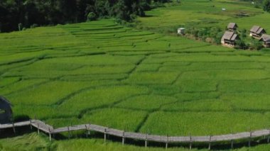 Pai 'deki Bambu Köprüsü, Mae Hong Son, Chiang Mai, Tayland
