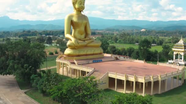 Chiang Rai 'deki Büyük Altın Buda heykeli, Chiang Mai vilayeti, Tayland — Stok video