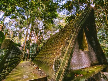 Koh Samui, Tayland 'daki Gizli Buda Sihir Bahçesi