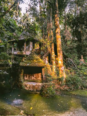 Koh Samui, Tayland 'daki Gizli Buda Sihir Bahçesi