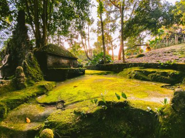 Koh Samui, Tayland 'daki Gizli Buda Sihir Bahçesi